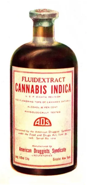 Reading the Label Like a Pro: Your No-Stress Guide to Cannabis Potency in Lawndale